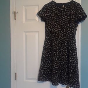 Loft fit and flare dress
